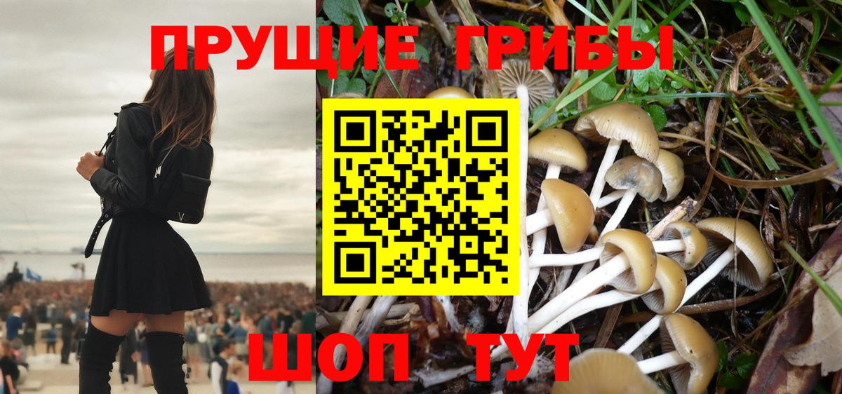 Галлюциногенные грибы GOLDEN TEACHER Елизово