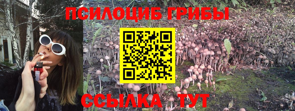 Псилоцибиновые грибы MAGIC MUSHROOMS  Вход с VPN  Елизово 